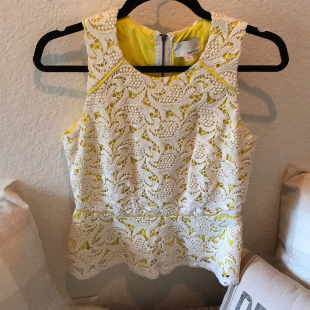 Greylin lace blouse